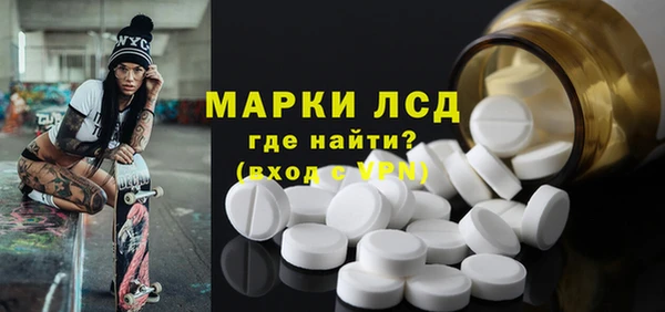 гашик Аркадак