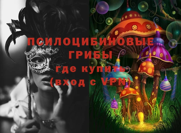 твердый Арсеньев