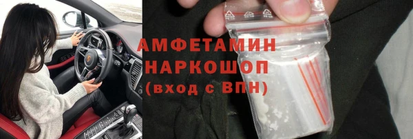 твердый Арсеньев