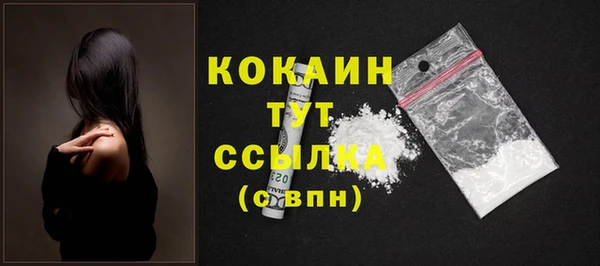 гашик Аркадак