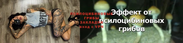 apvp Армянск