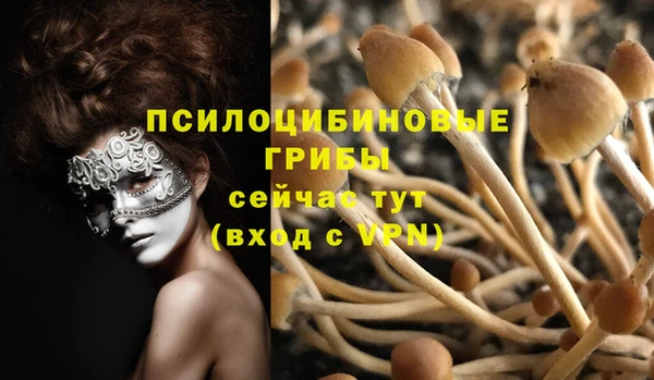 твердый Арсеньев