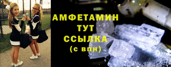 твердый Арсеньев